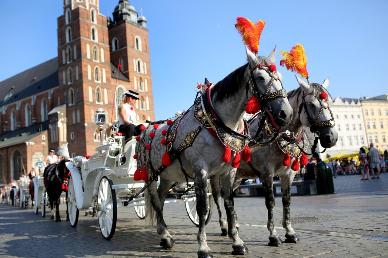 Grodzka King&queen * Krakau